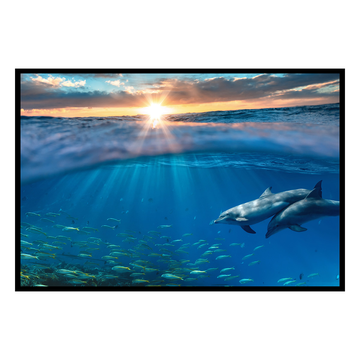 Affiche encadrée dauphins dans l’océan, HEXOA