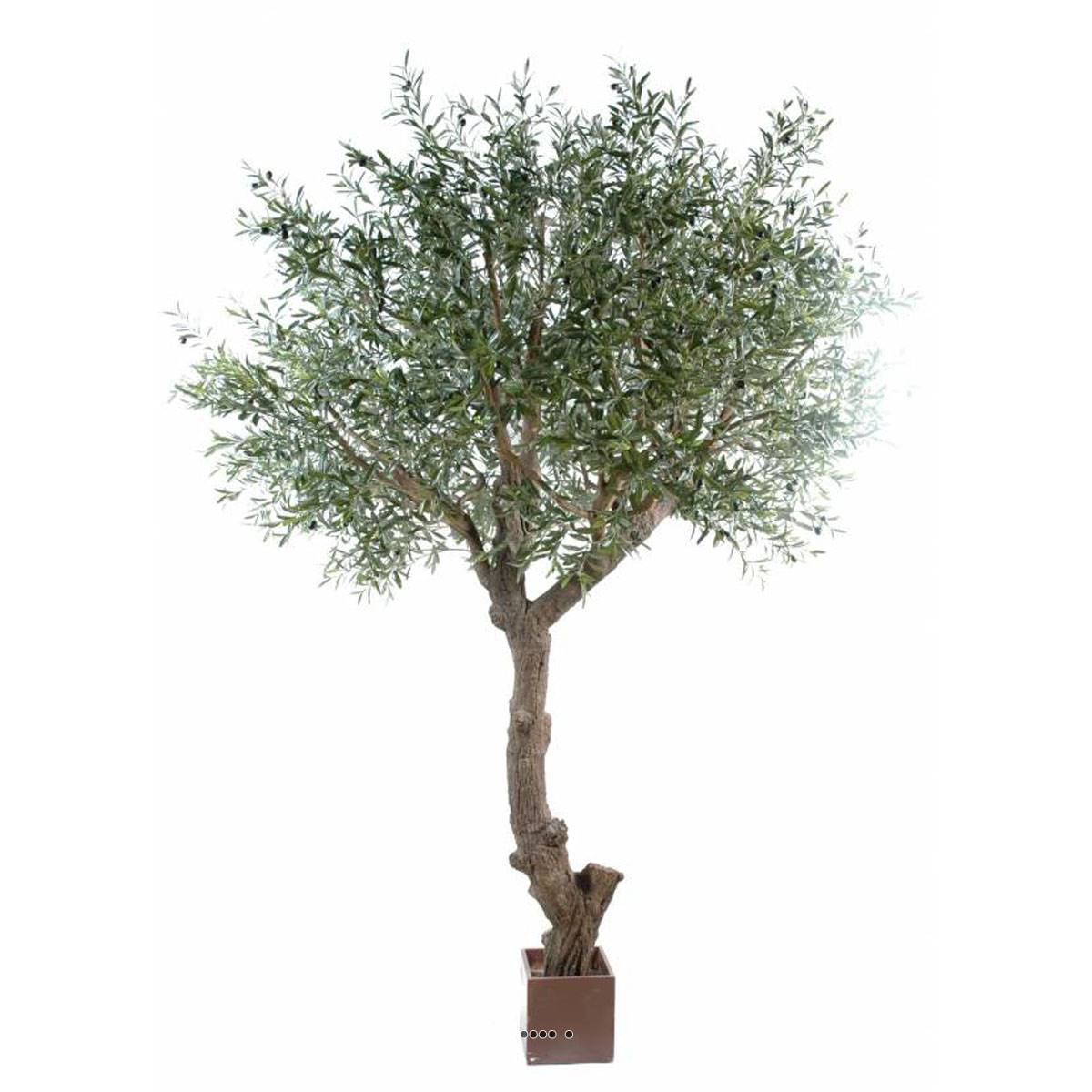 Olivier artificiel H270 cm L210 cm av, ARTIFICIELLES