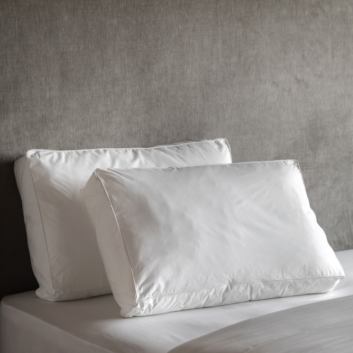 Soundly Slumber Box Edge Pillow Pair, ÉDITÉ