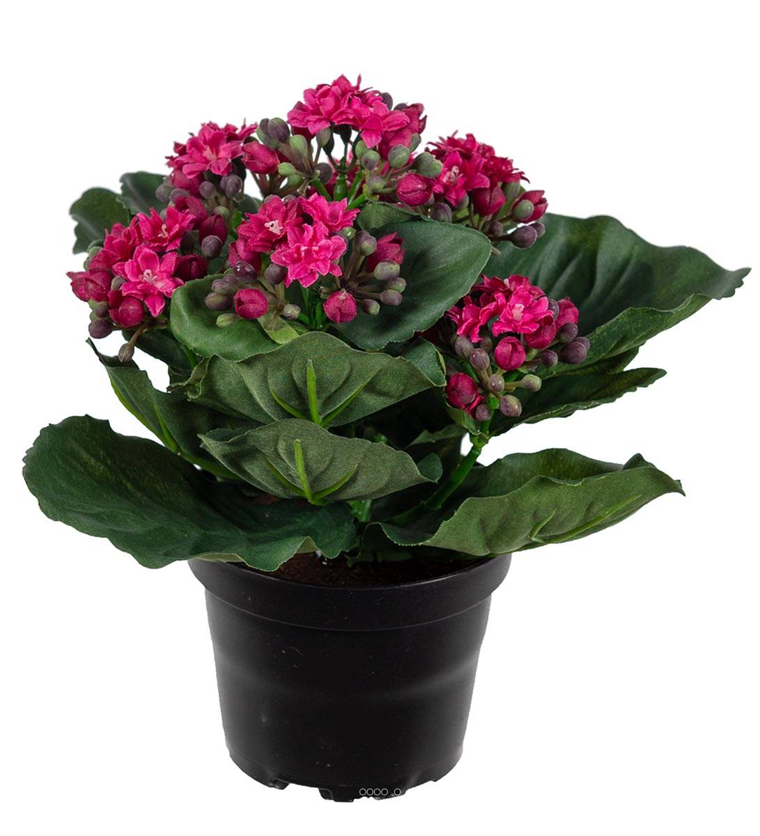 Kalanchoé artificiel en pot H20 cm adorable, ARTIFICIELLES