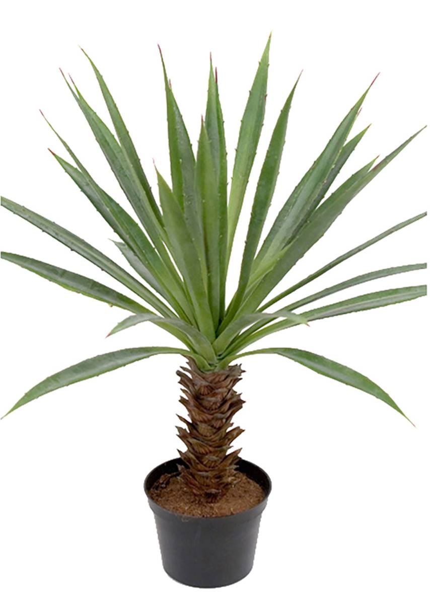 Agave artificiel sur pied en pot, H 40 cm, ARTIFICIELLES