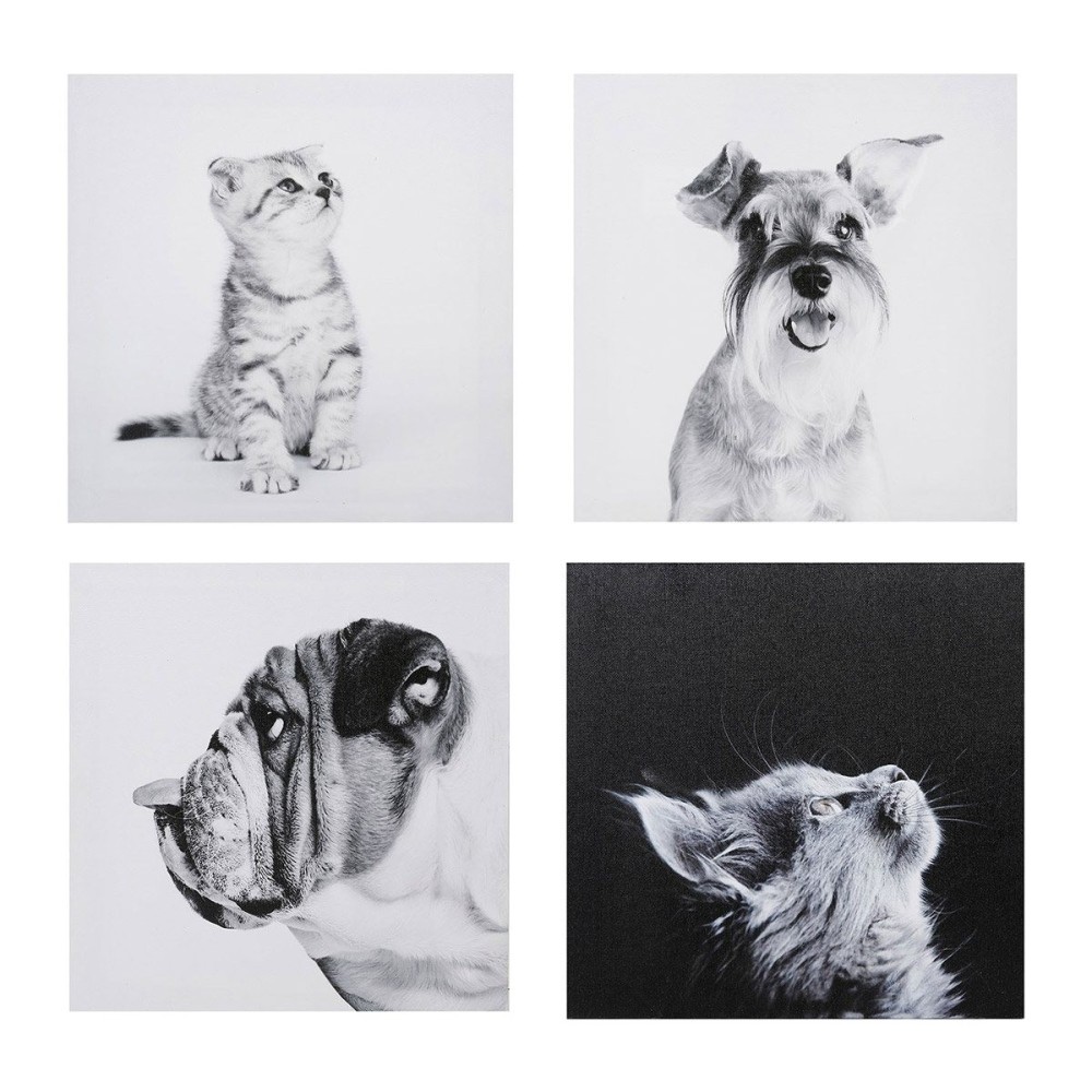 Ensemble de 4 tableaux sur toile imprimée 28x28 Funny, DECORATIE