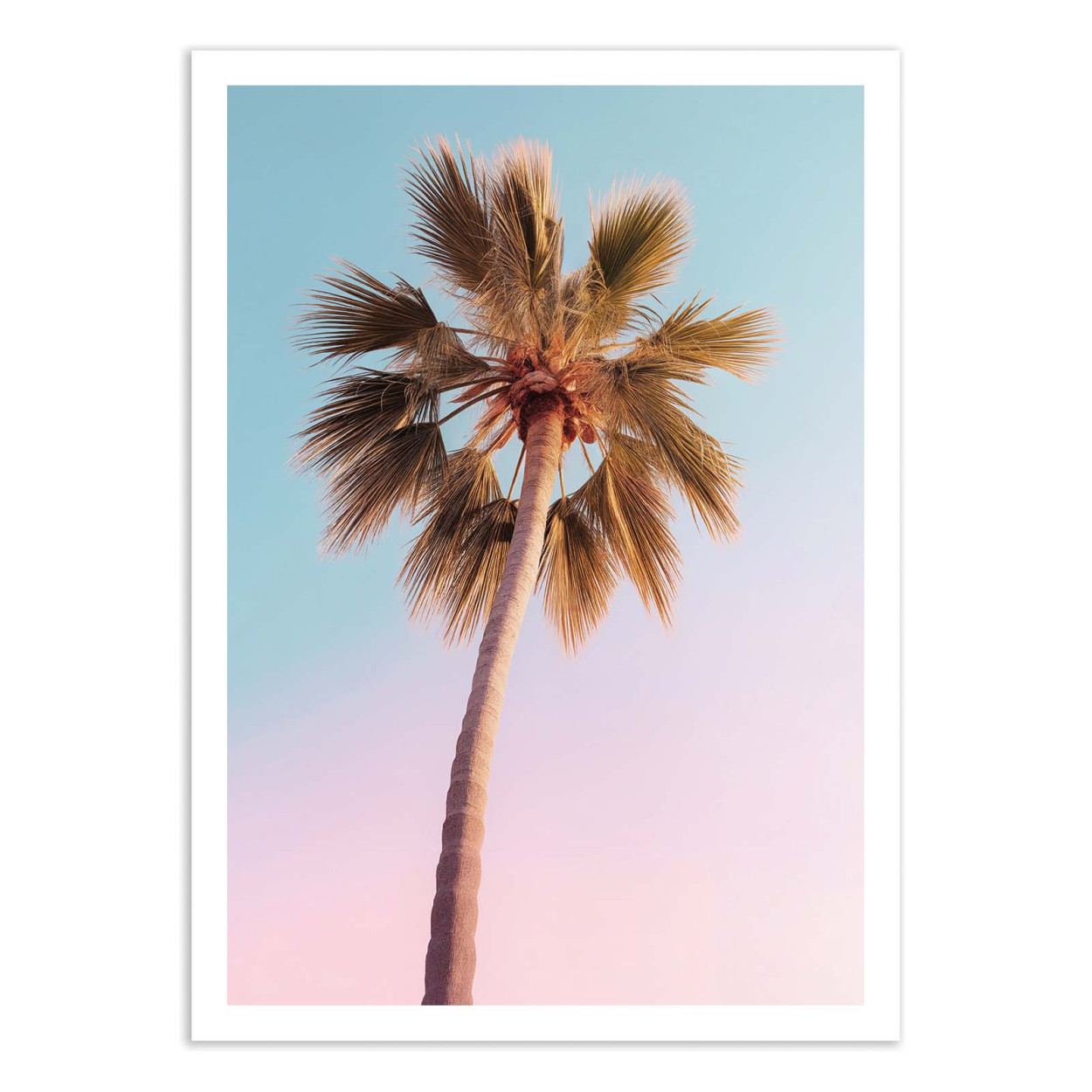 Affiche d'art - Hollywood Palm - Philippe Hugonnard, WALL EDITIONS
