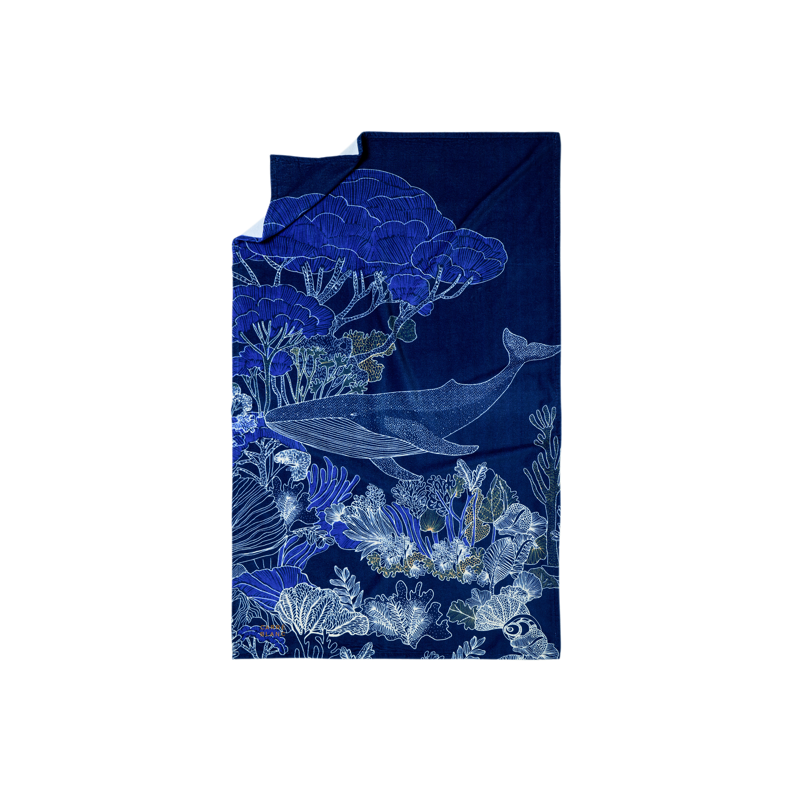 Serviette de plage coton ONDYNE, CARRE BLANC