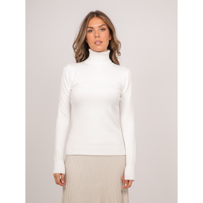 Sous-pull Col Roulé Ajusté Maille Kepop, DONA LISA