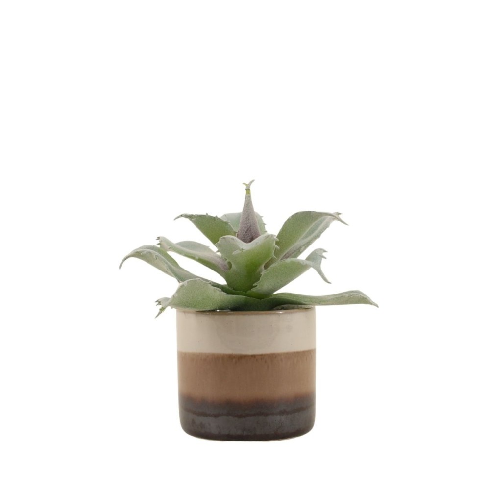 Plante grasse artificielle pot céramique rayé 12cm, ORNAMI