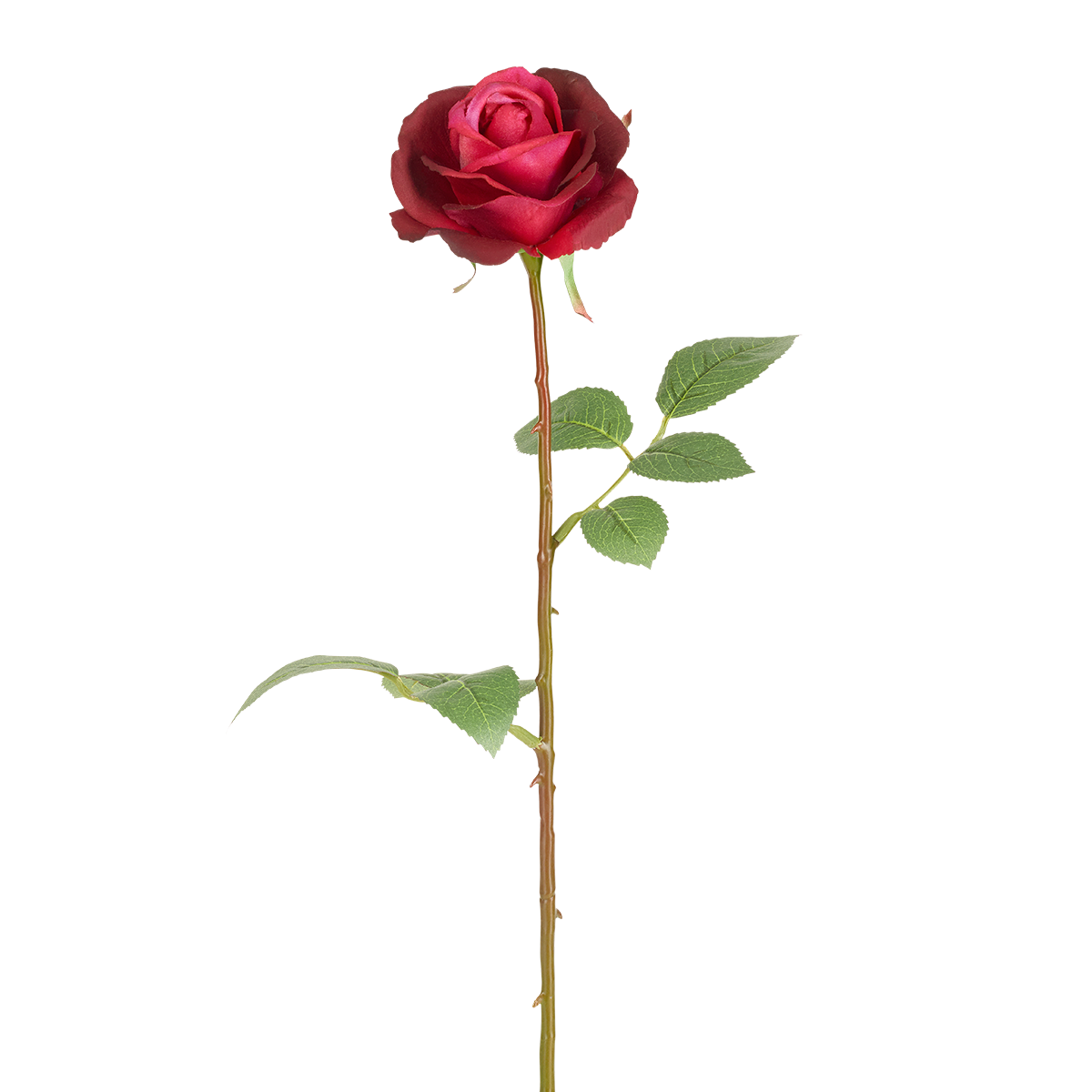Tige de rose artificielle H65, SIA DECO