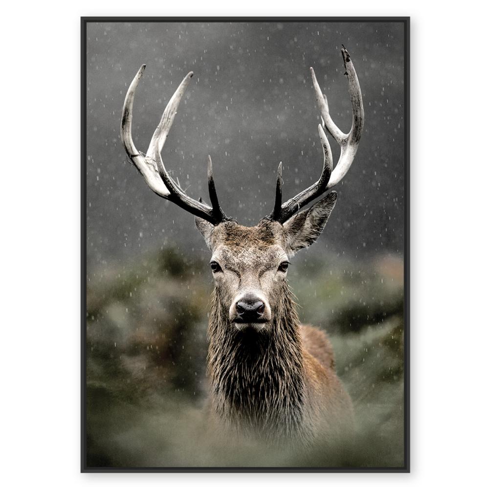 Toile cerf dans les buissons 80x120 cm, AMADEUS