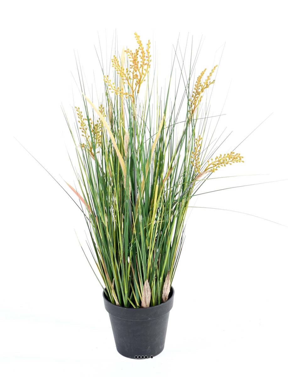 Isolepsis artificiel Graminée Papyrus scirpes, ARTIFICIELLES