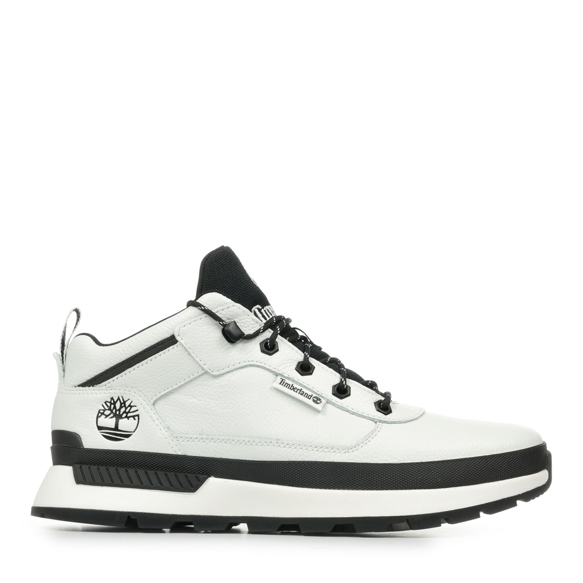 Baskets Field Trekker Low Lace Sneaker, TIMBERLAND
