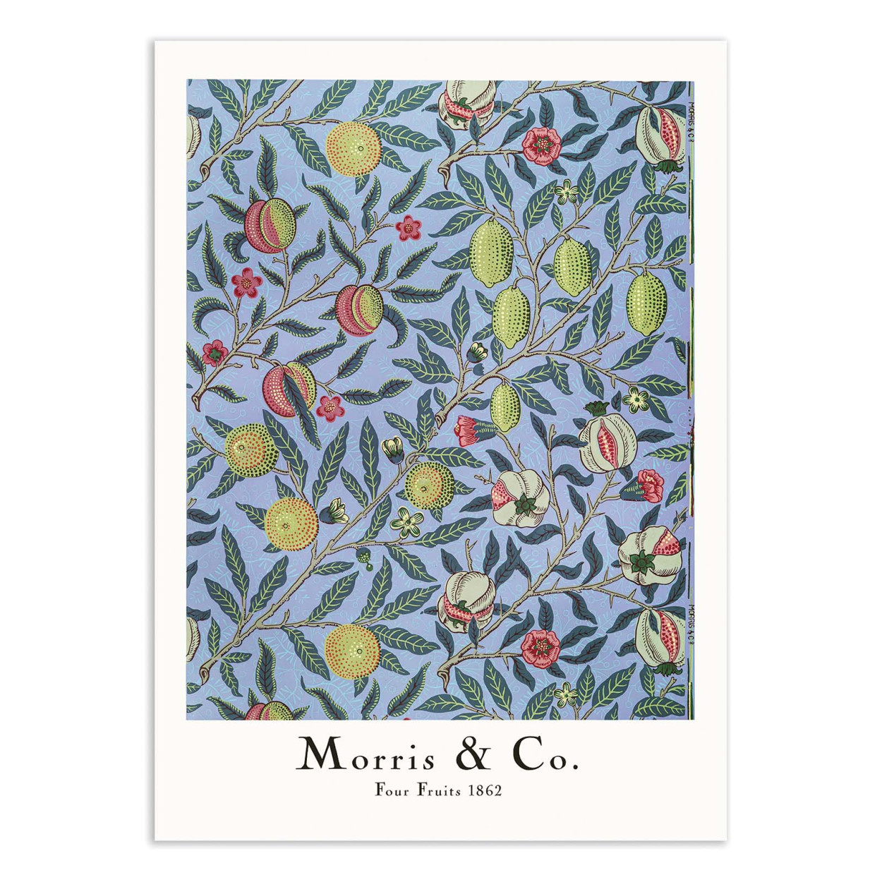 Affiche d'art - Four Fruits - William Morris, WALL EDITIONS