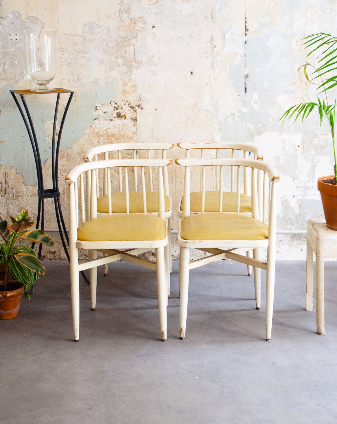 Lot de 4 chaises courbées Claude N°1251 - Bon état, DEBONGOUT