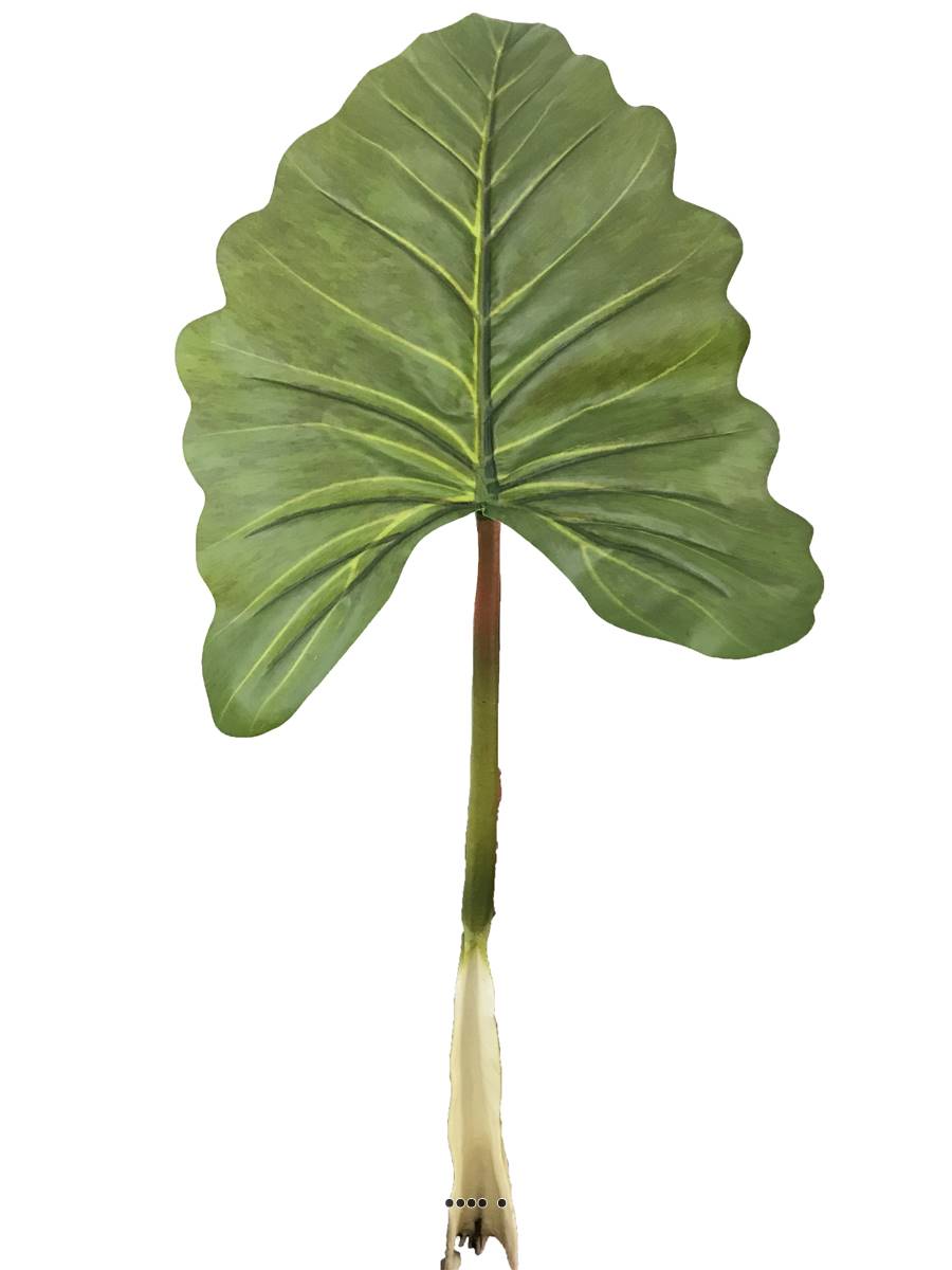 Feuille d'Alocasia, Songe Caraïbe a, ARTIFICIELLES