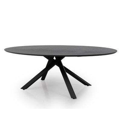 Table à manger ovale 240x120cm couleur  COXI MEUBLES & DESIGN