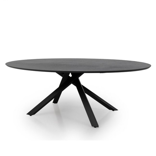 Table à manger ovale 240x120cm couleur  COXI Couleur noir <span itemprop=