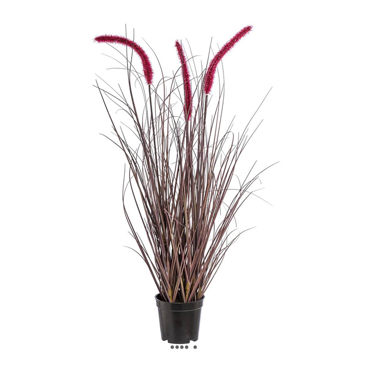 Herbe graminée en pot avec 3 chatons H 73 cm, ARTIFICIELLES