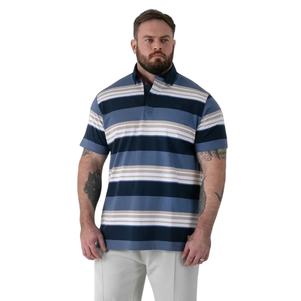 Polo manches courtes style rugby motif à rayures WILLIS, DUKE