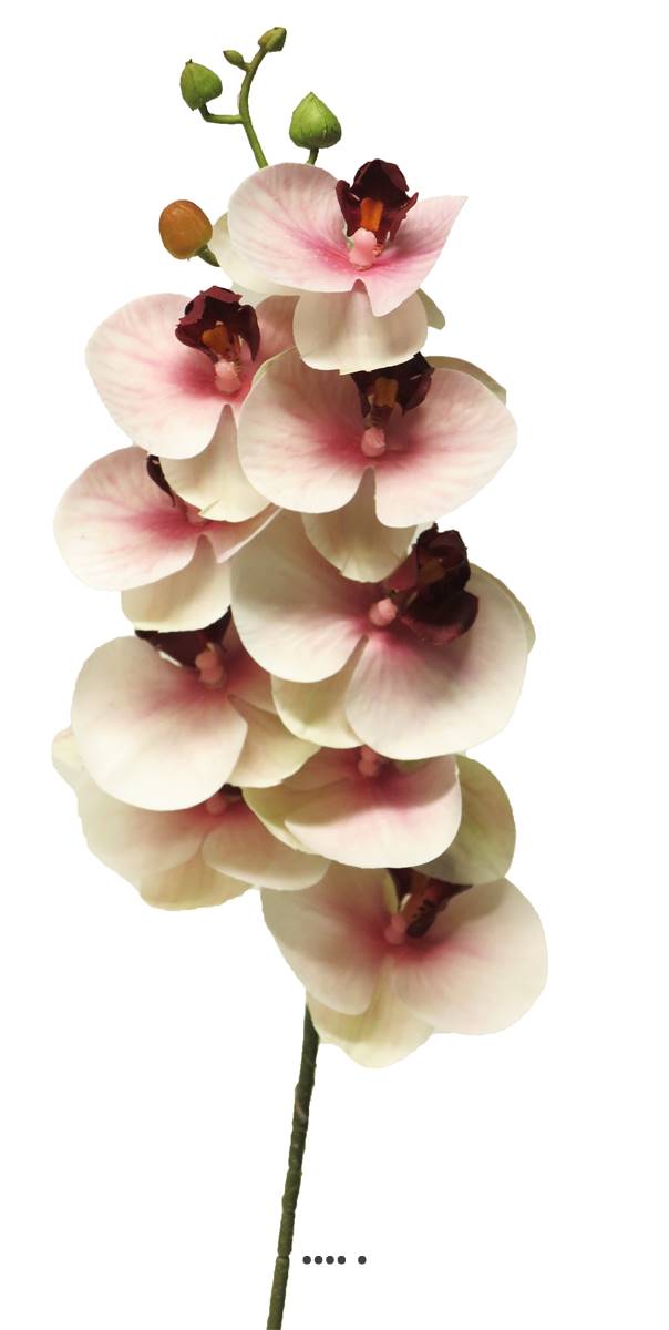 Tige orchidée phalaenopsis Factice 9 fleurons, ARTIFICIELLES