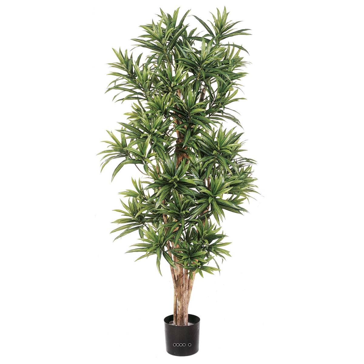 Dracaena reflexa artificiel Vert H 120 cm 100, ARTIFICIELLES