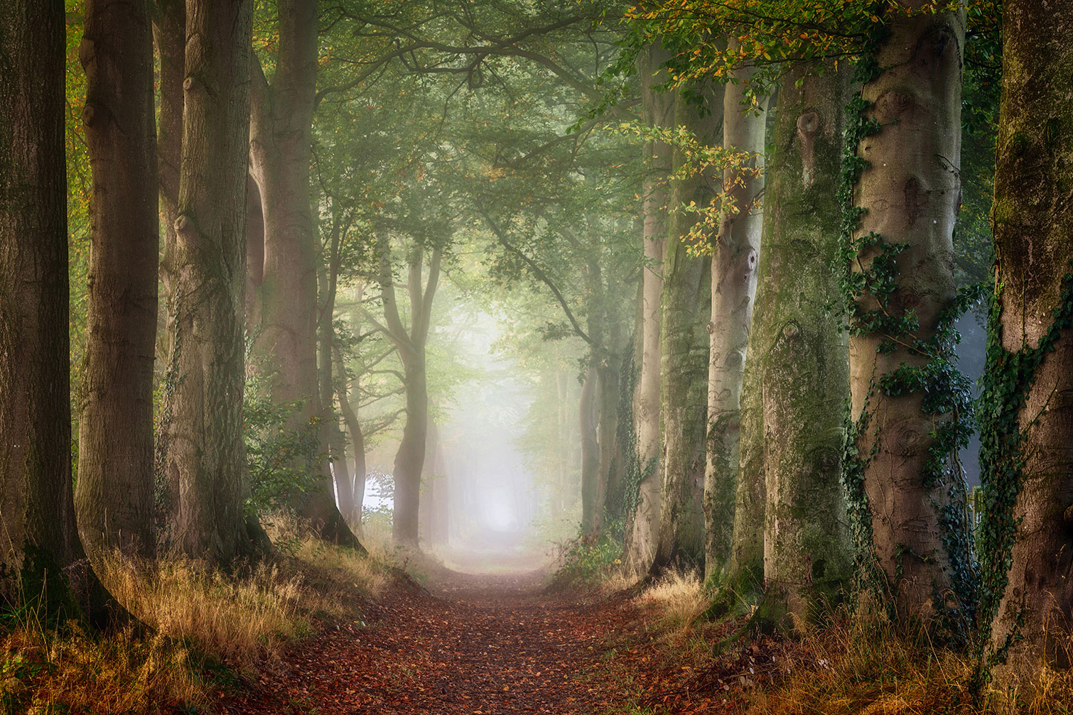 Tableau paysage sur le chemin, HEXOA