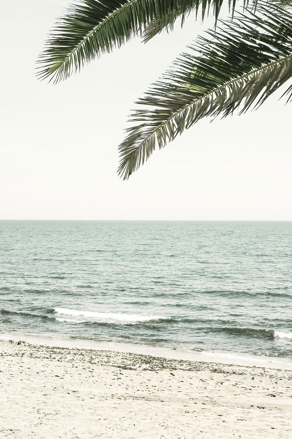 Tableau plage tropicale, HEXOA