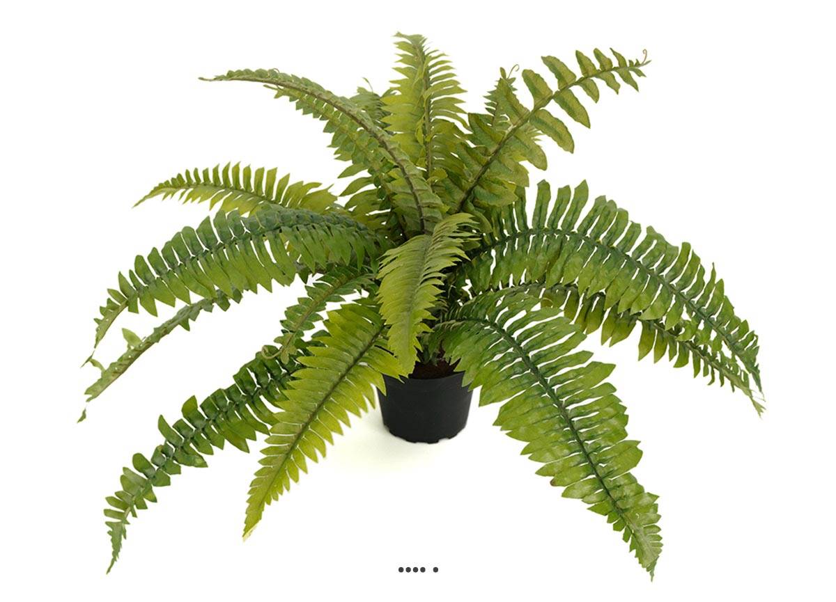 Fougère des forêts artificielle en pot H 30, ARTIFICIELLES