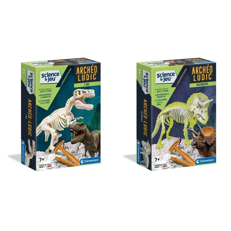 Archéo-ludic T-Rex et Tricératops
