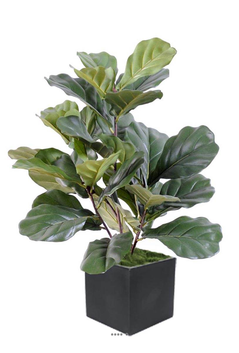 Ficus Lyrata buisson factice tronc PE en p, ARTIFICIELLES