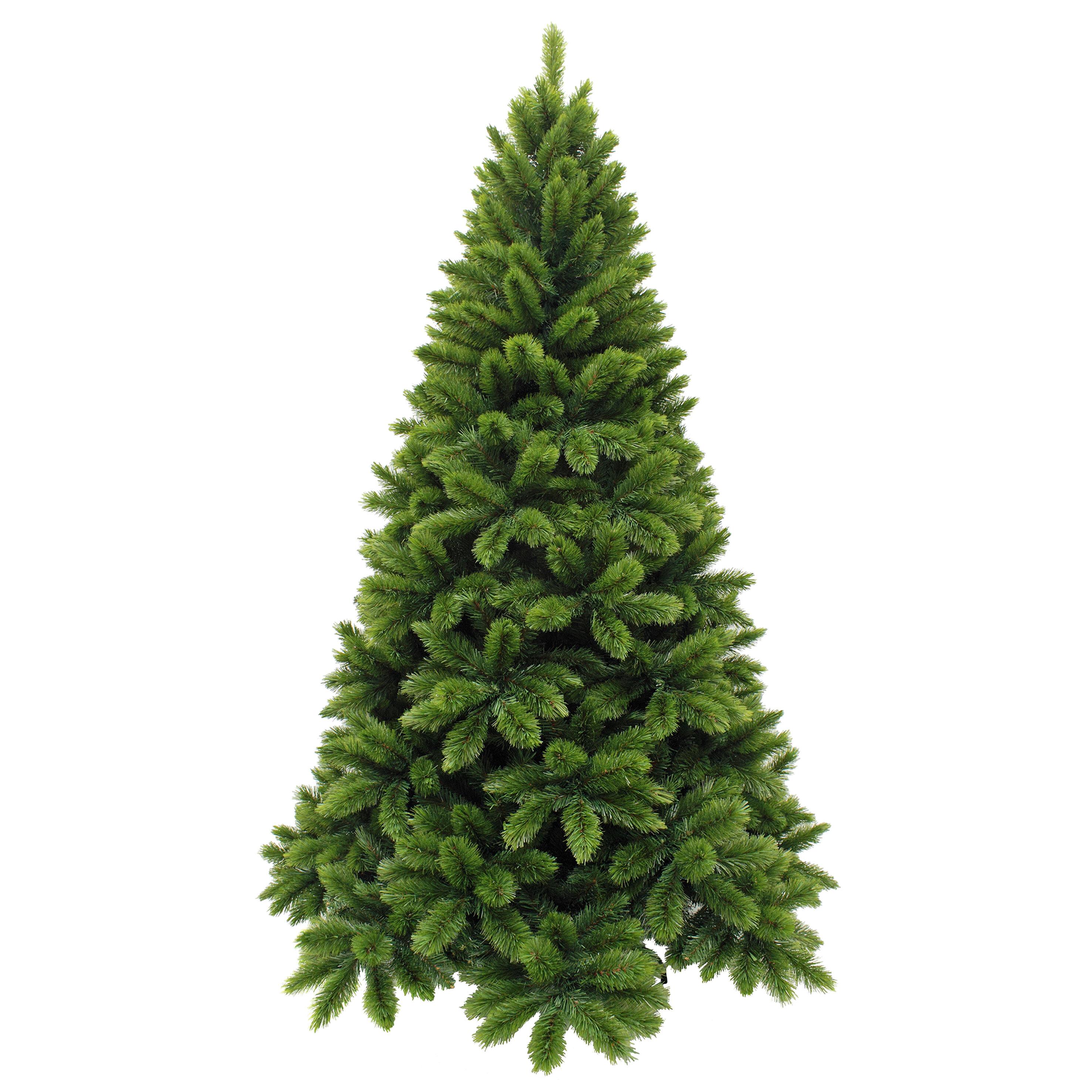 Sapin de Noël TSUGA, TRIUMPH TREE