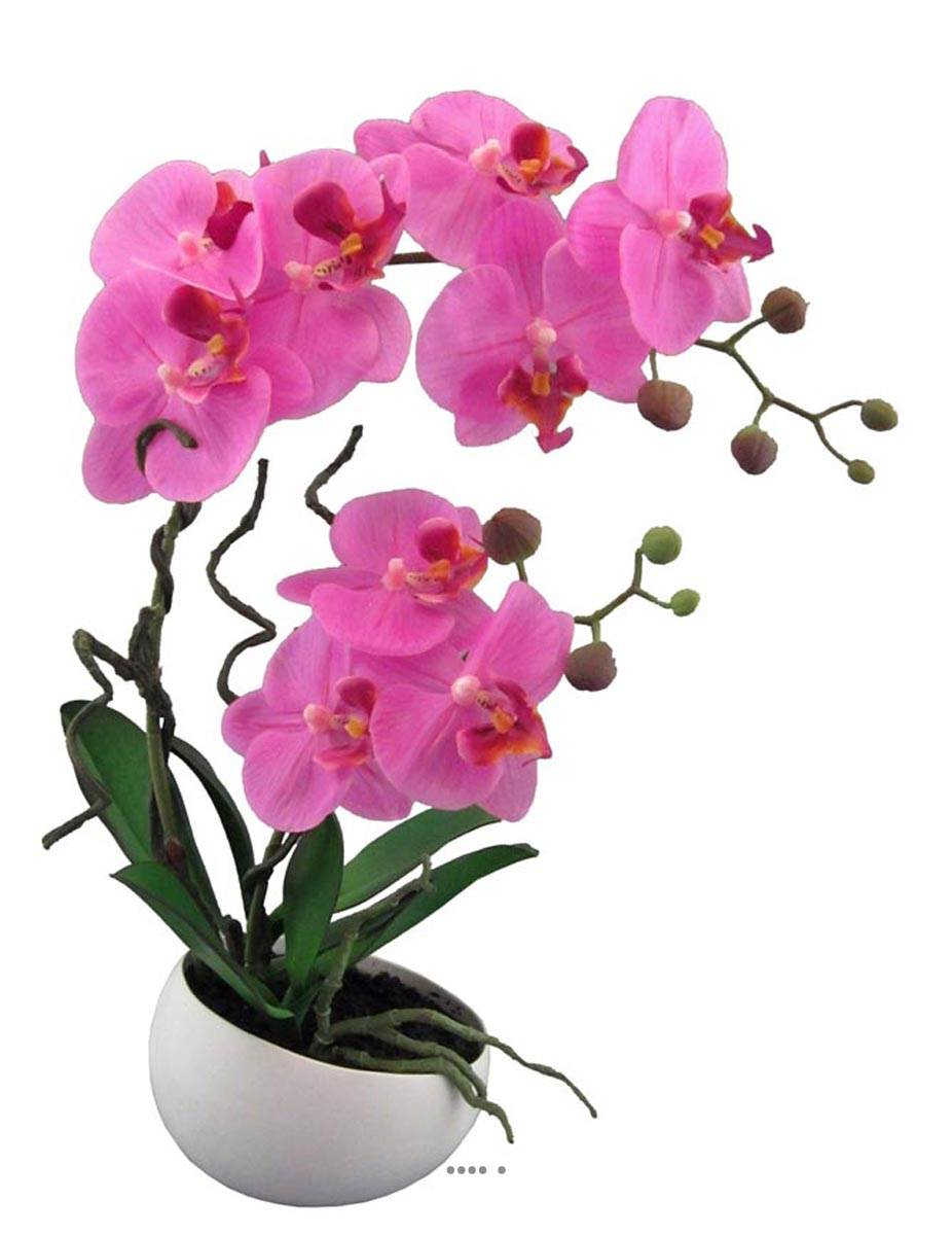 Orchidée factice 2hampes coupe céramique H45, ARTIFICIELLES