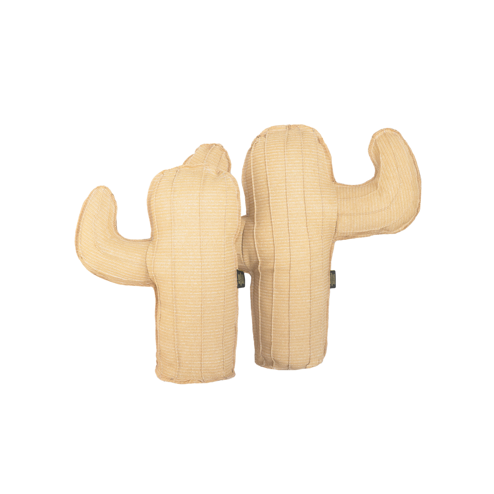 Lot de Coussin extérieur cactus, MX HOME