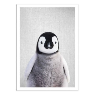 Poster d'art - Baby penguin - Gal Design WALL EDITIONS