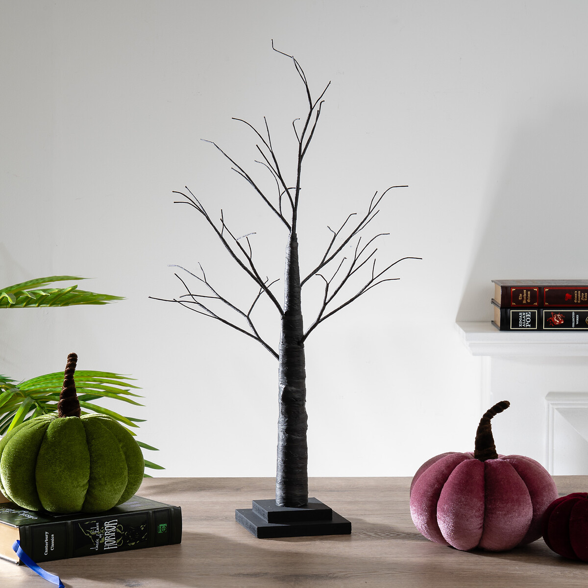 70cm Twig Tree in Black, SO'HOME