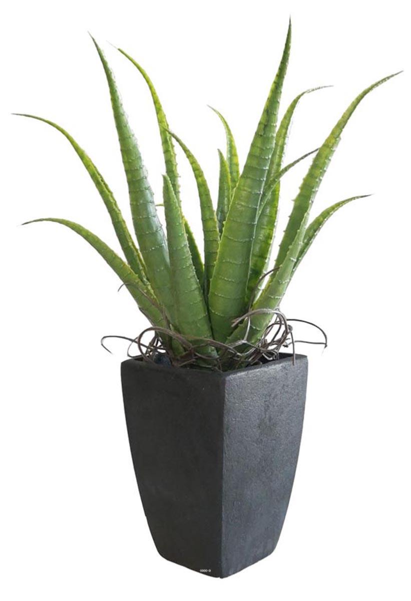 Agave Succulente plante artificielle cactée, ARTIFICIELLES