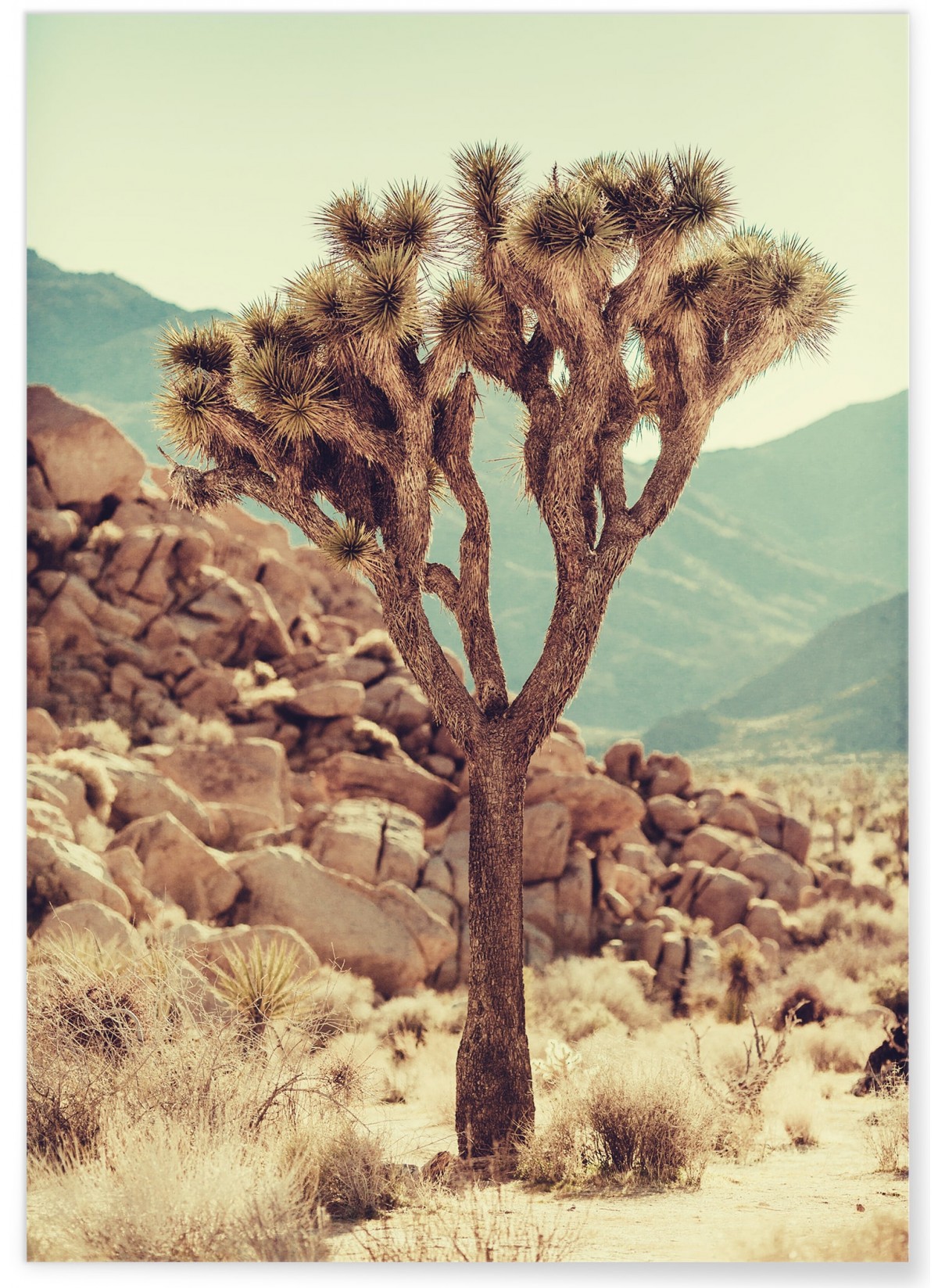 Affiche Nature Desert 3, L'AFFICHERIE