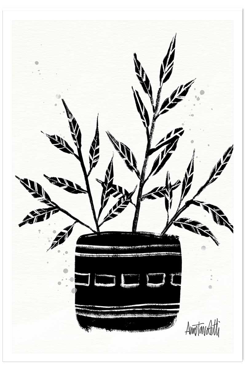 Illustration Botanique et Poterie terre cuite, HEXOA