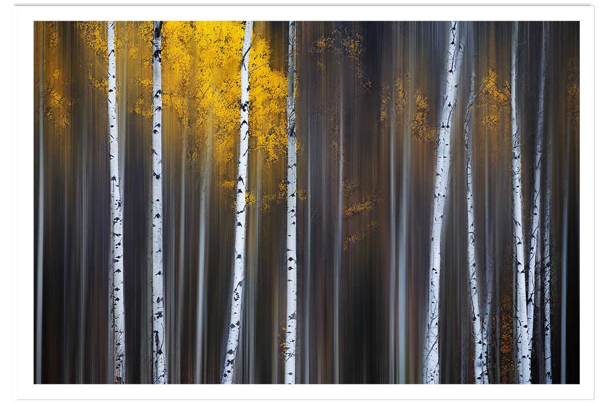 Affiche paysage Rideau d'automne, HEXOA