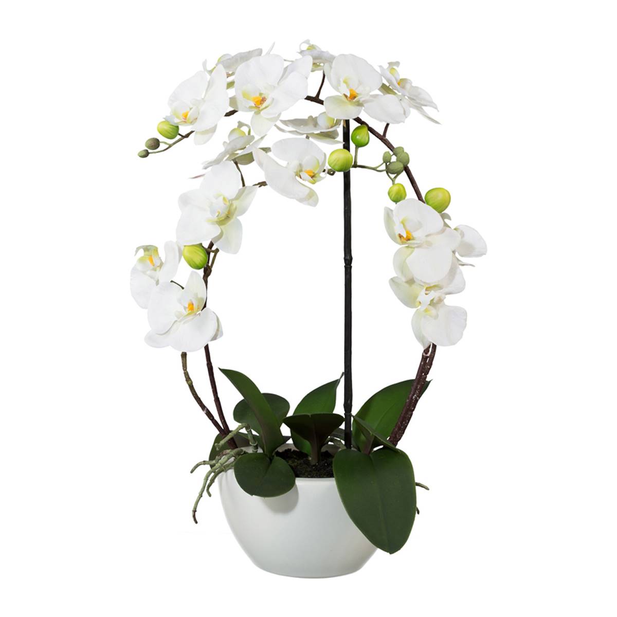 Orchidée factice 4 hampes en coupe céramique, ARTIFICIELLES