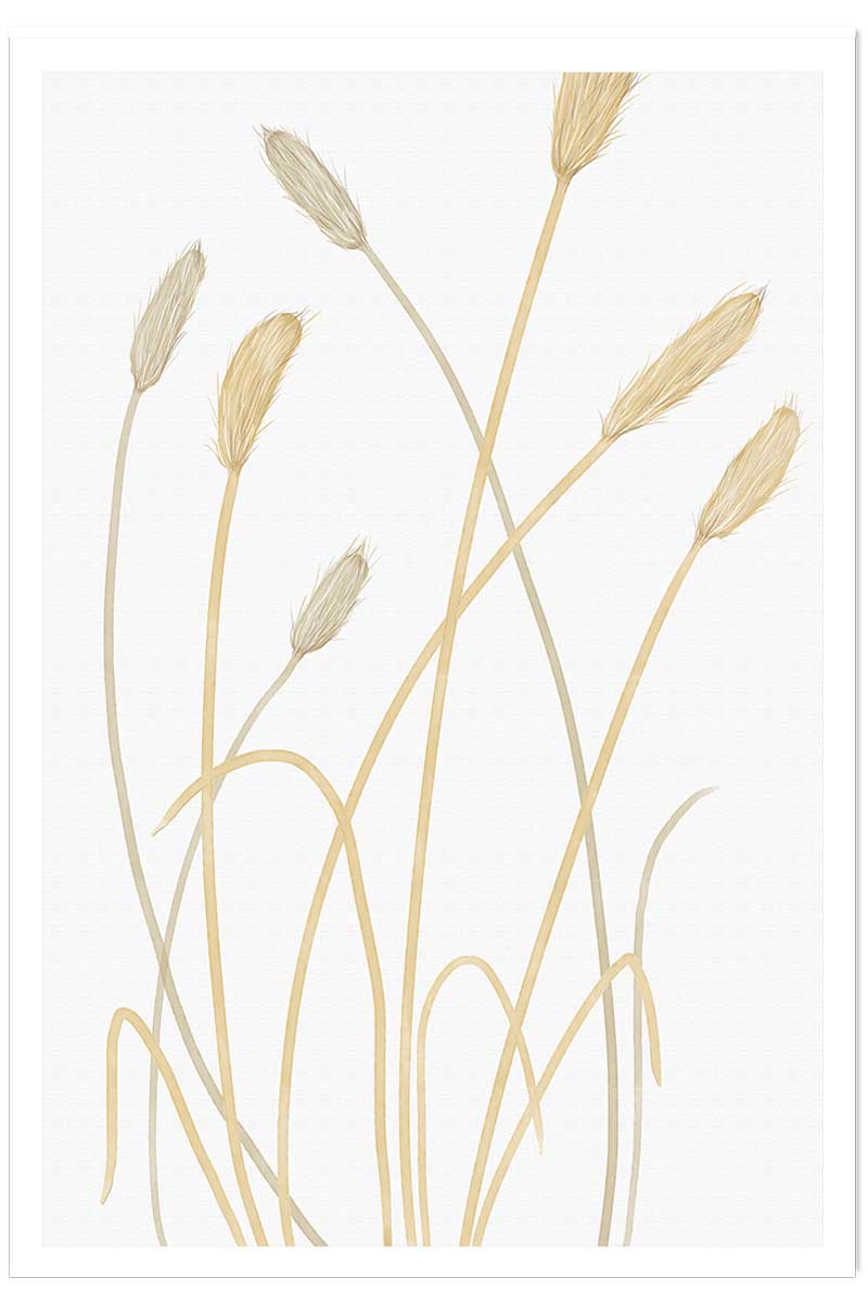 Affiche scandi blés 2, HEXOA