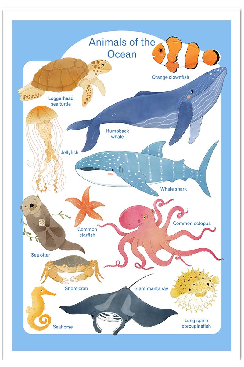 Affiche enfant animaux marins, HEXOA