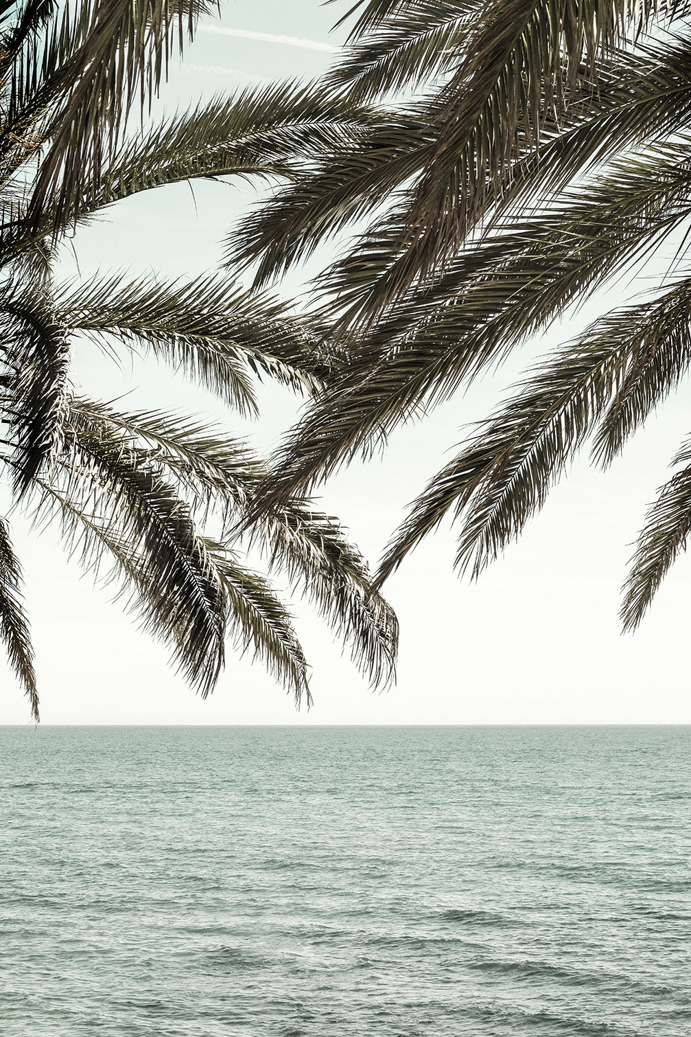 Tableau plage tropicale secrète, HEXOA