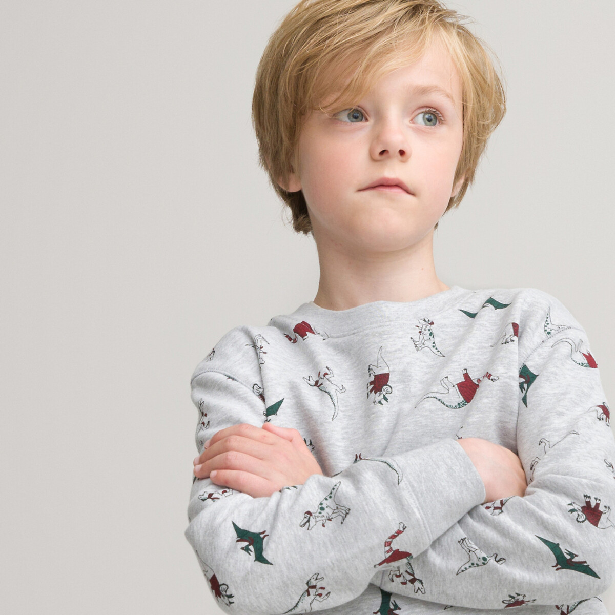 Felpa natalizia motivo dinosauri cotone bio 3-12 anni grigio chiné La  Redoute Collections | La Redoute