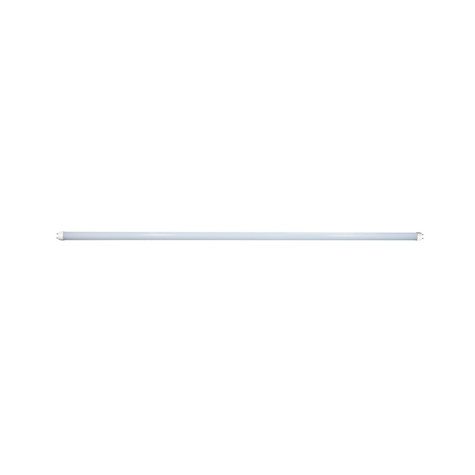 Ampoule G13 en verreLED, ARCCHIO