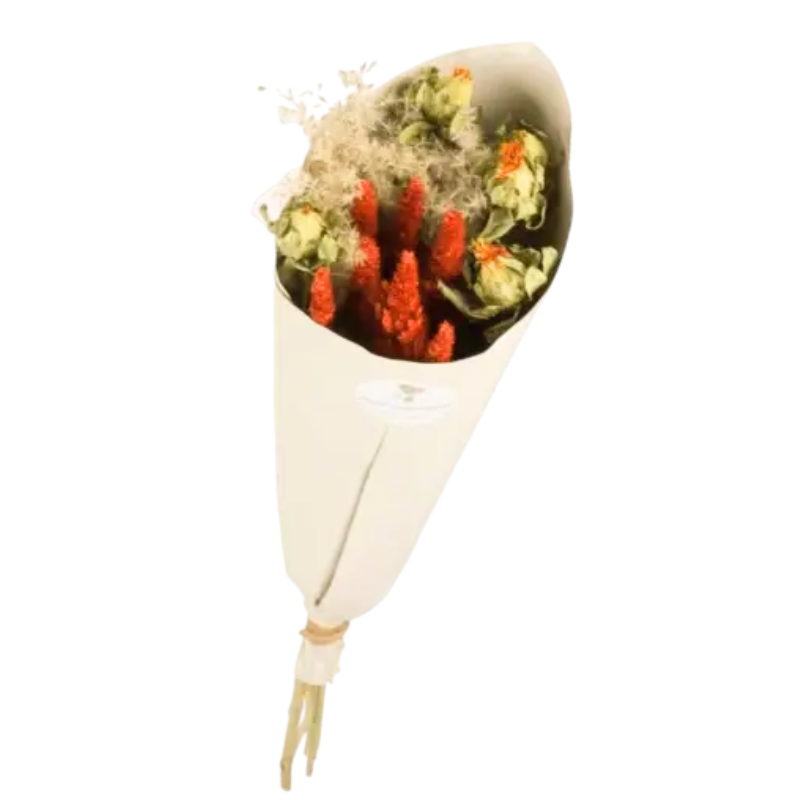 Bouquet de fleurs séchées Dinky orange 50 cm, NATURALYS