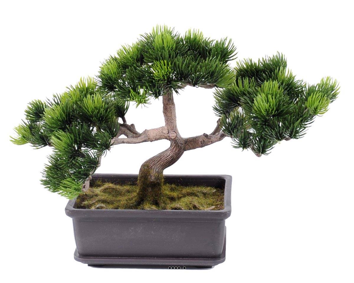 Bonsai artificiel Formosa H 22 cm Feuillage, ARTIFICIELLES
