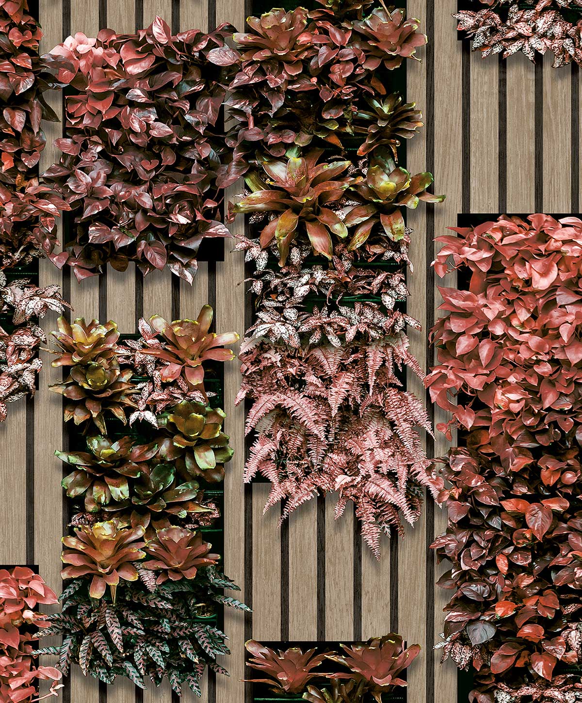 Papier peint végétal mural rouge et bois, HEXOA