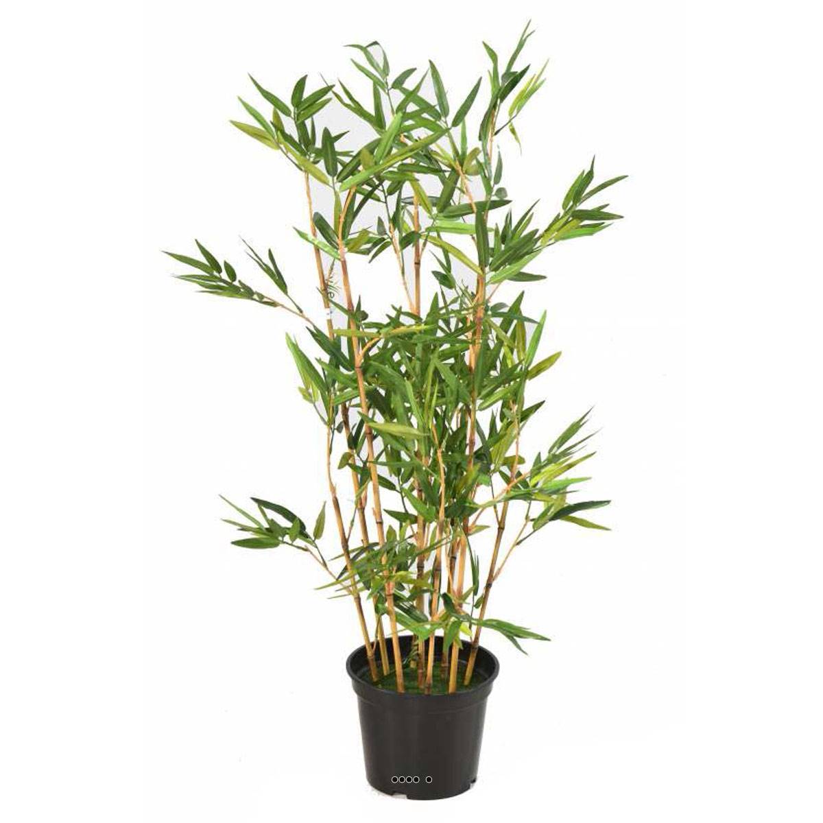 Bambou Artificiel finition mousse verte H 90, ARTIFICIELLES