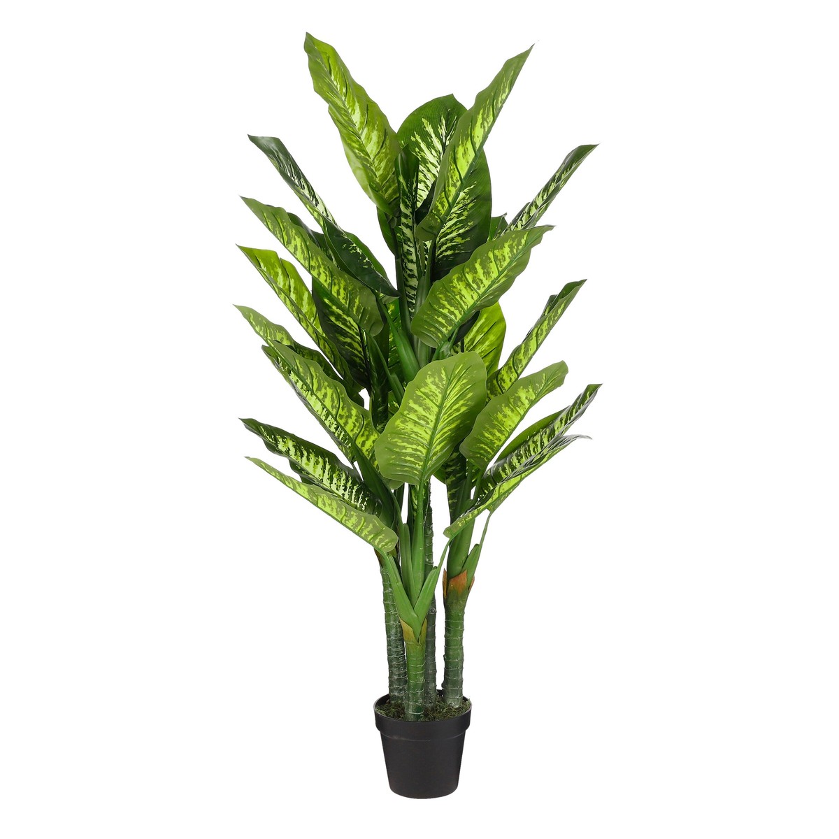 Plante artificielle DIEFFENBACHIA, MICA DECORATIONS