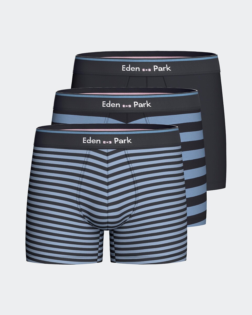 Lot de 2 boxers, 1 uni et 2 imprimé rayé, EDEN PARK