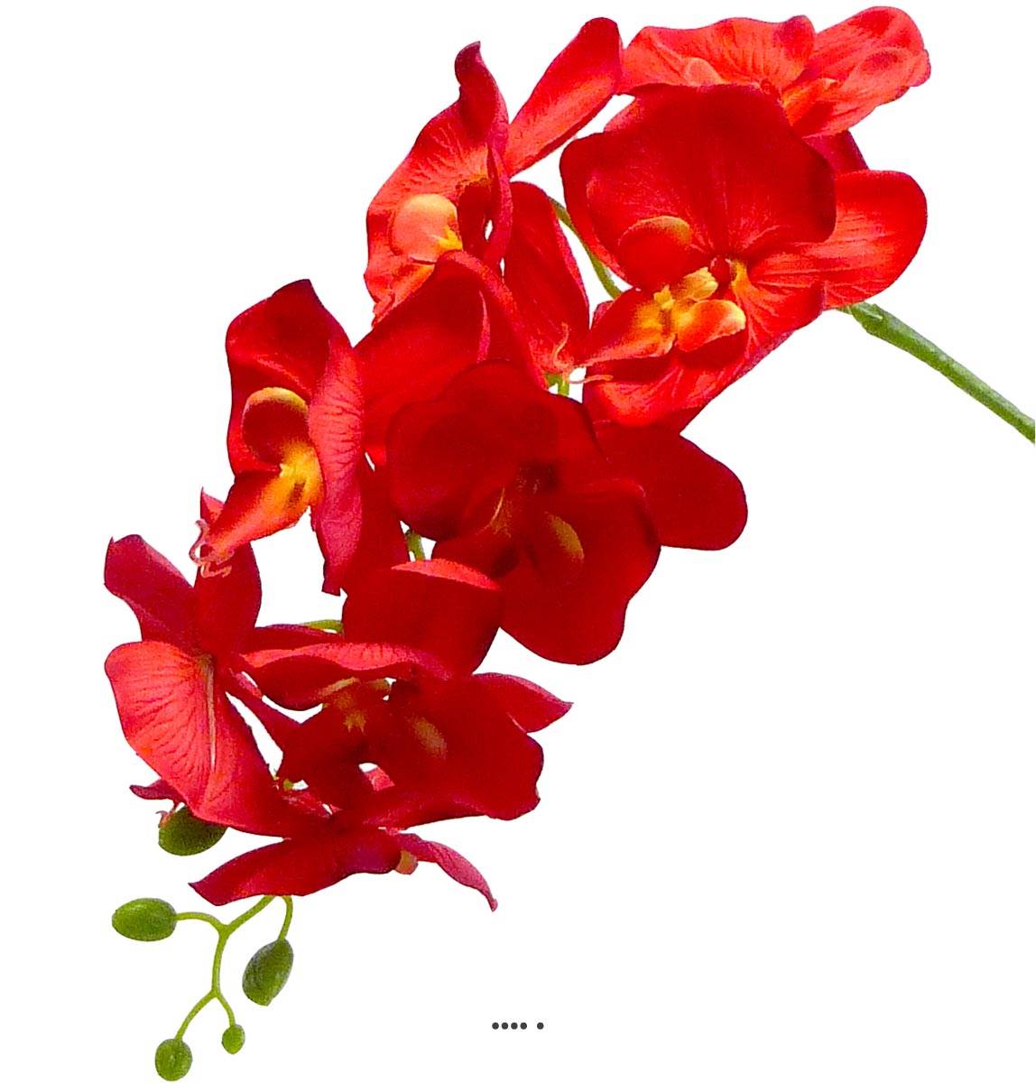 Orchidée Tao factice H105 cm 8 fleurons 5 bou, ARTIFICIELLES